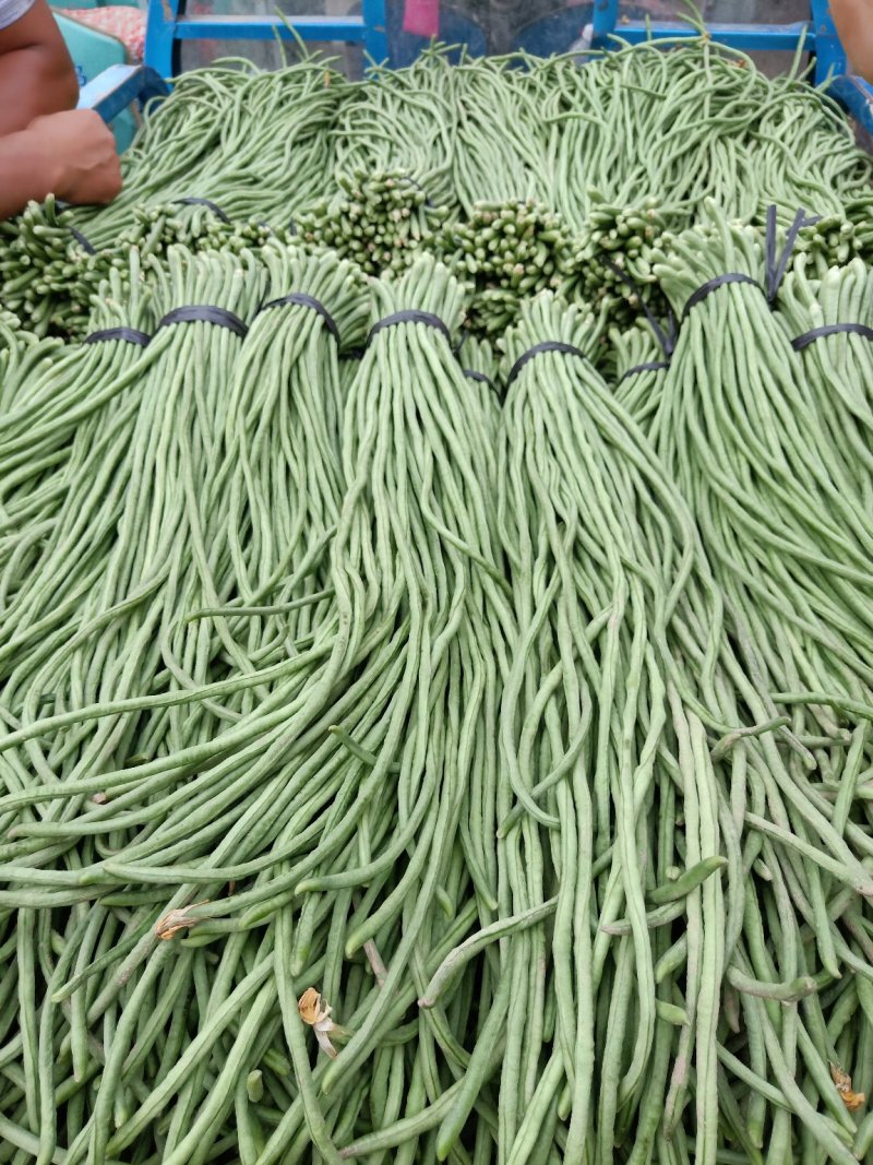 豆角