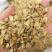 沙参种子新采北沙参籽发芽率高提供种植技术