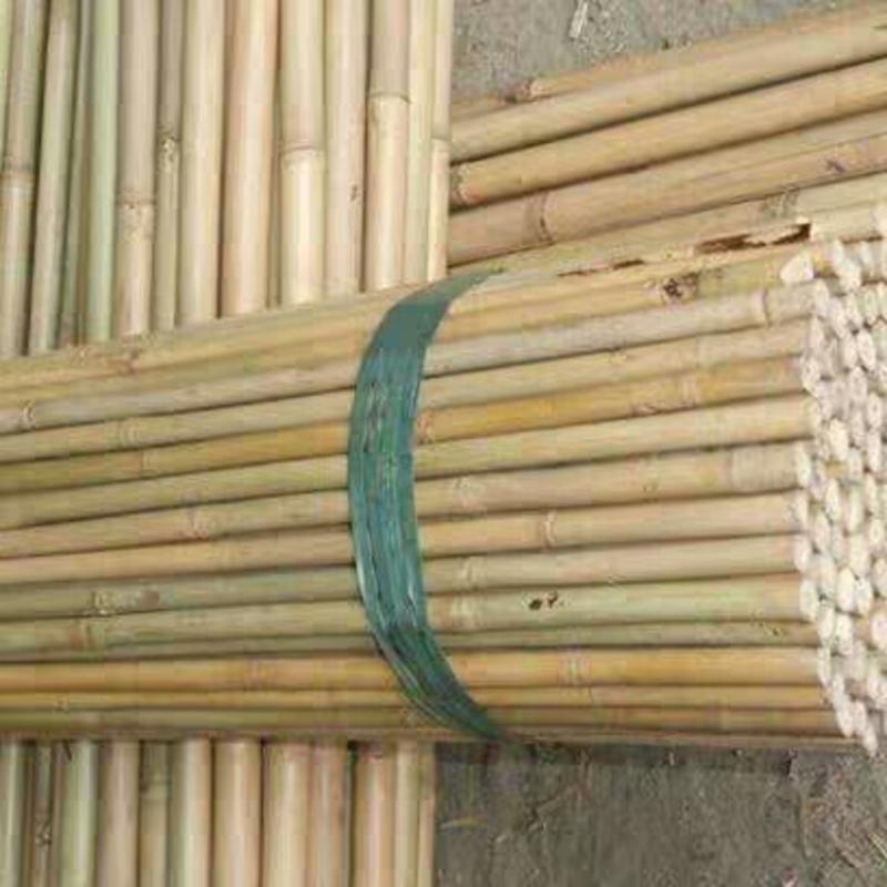 旗杆彩旗竹竿园林竹竿1米2米3米竹子茶杆竹竹篱笆竹围栏