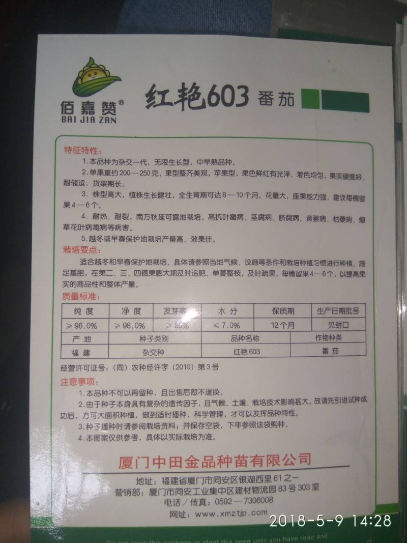 大红亮丽的番茄种子颜色均匀亮度好～红艳603