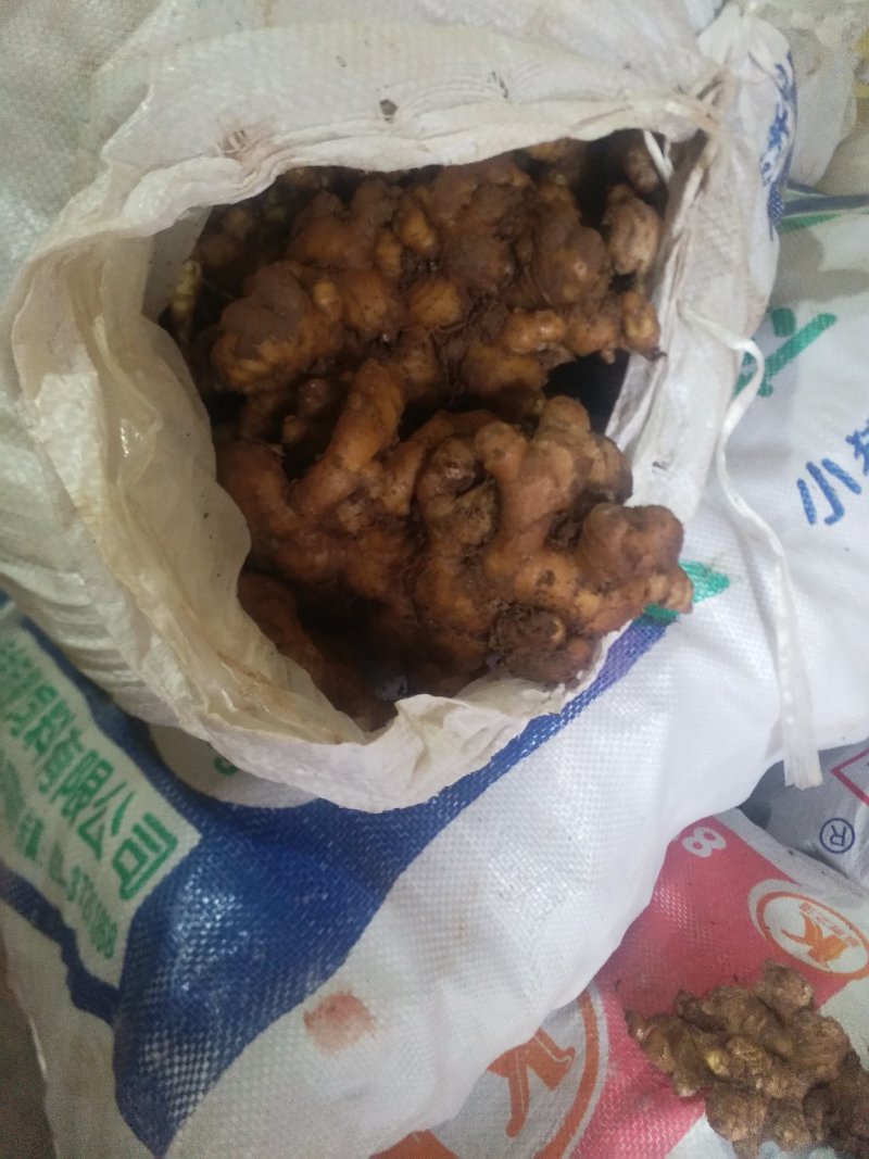 小黄姜云南小黄姜姜贵州小黄姜