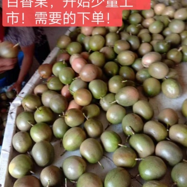 桂林龙胜高山百香果70~80g紫果