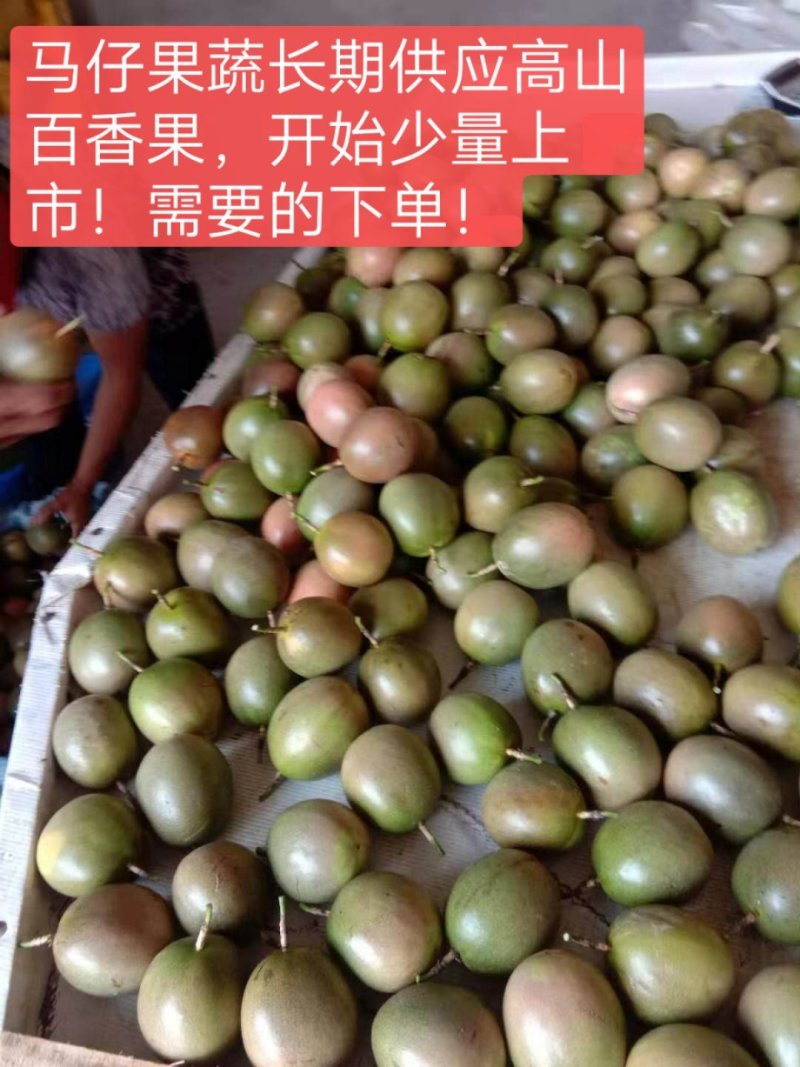 桂林龙胜高山百香果70~80g紫果