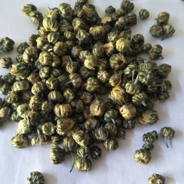 胎菊米苏胎菊产地直供可视频看货