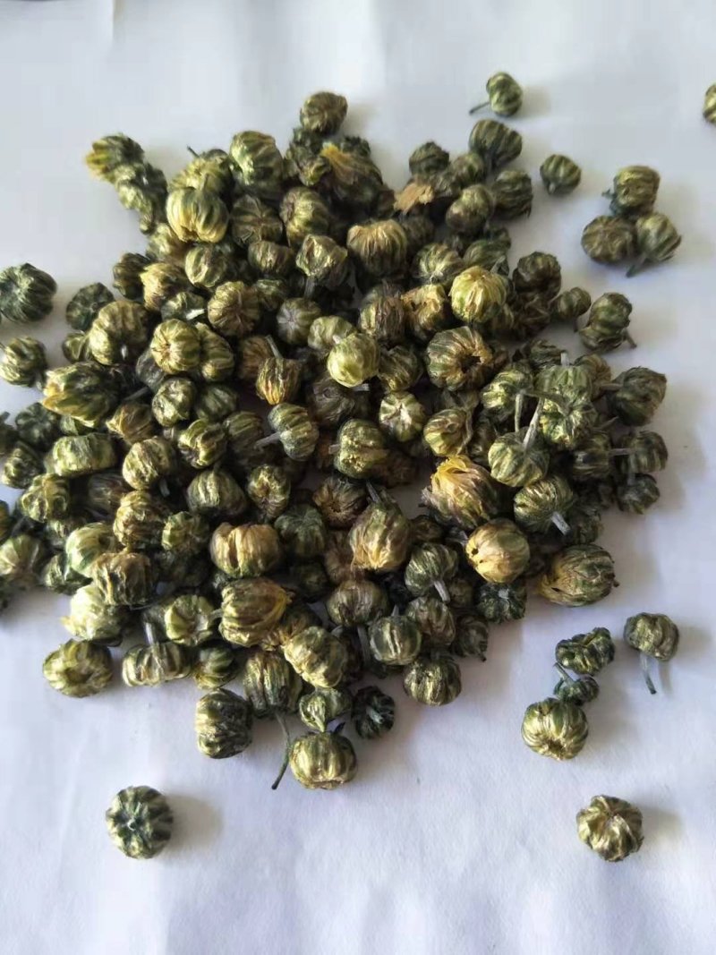胎菊米苏胎菊产地直供可视频看货