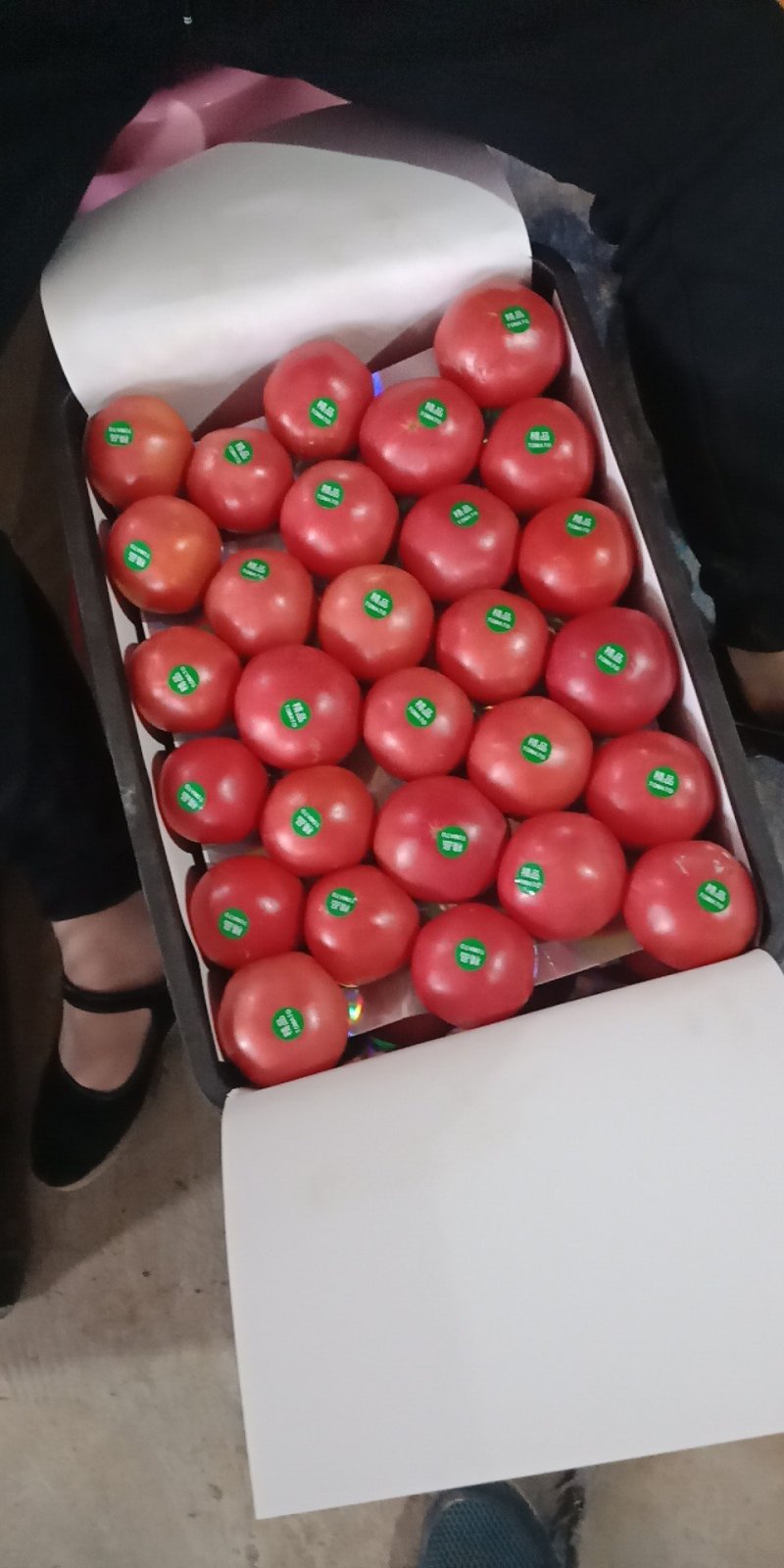 各种蔬菜大量上市欢迎定购