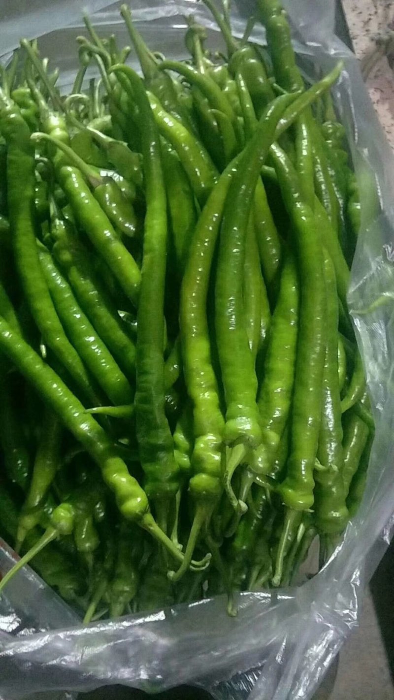 各种蔬菜大量上市欢迎定购