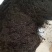 醉滇红红茶滇红工夫茶叶普洱茶滇红茶