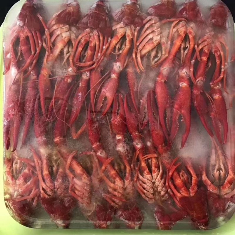 潜江清水冻虾批发大量供应