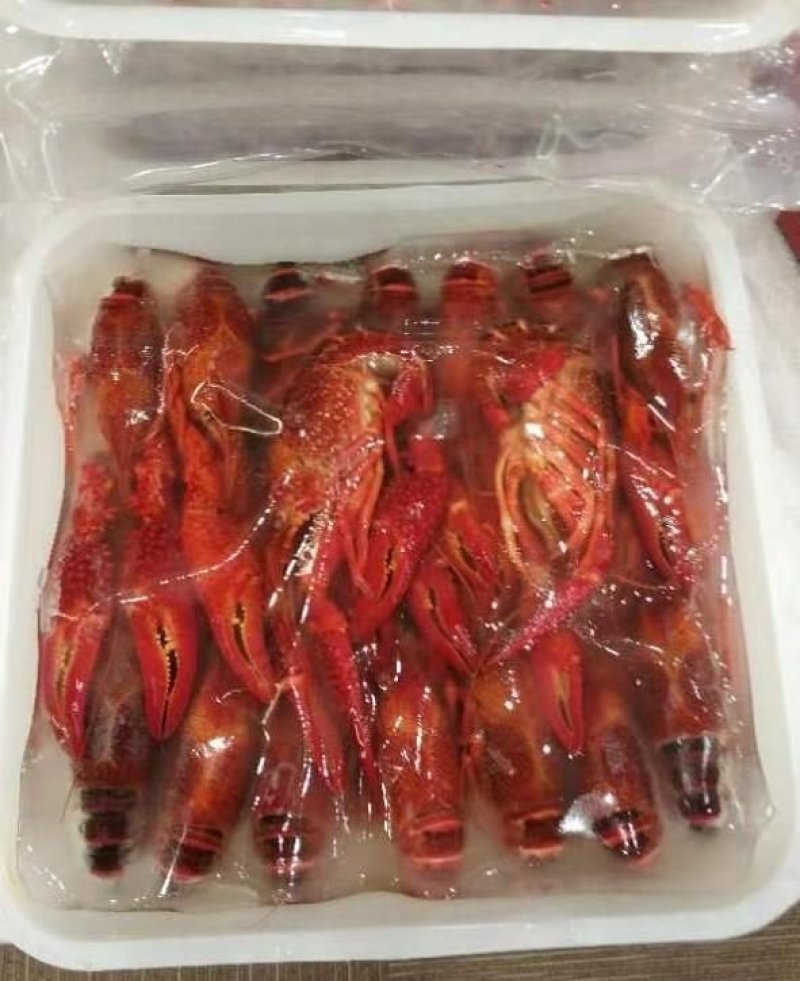 潜江清水冻虾批发大量供应