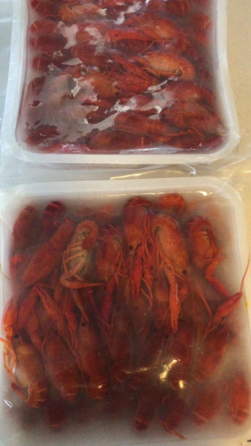潜江清水冻虾批发大量供应