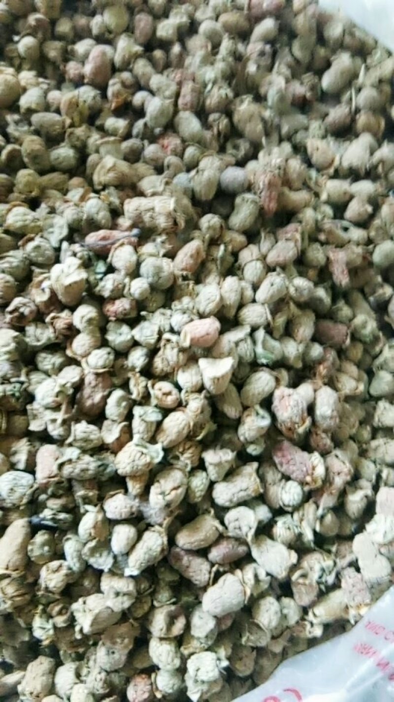 野生覆盆子颗粒饱满货干颜色好