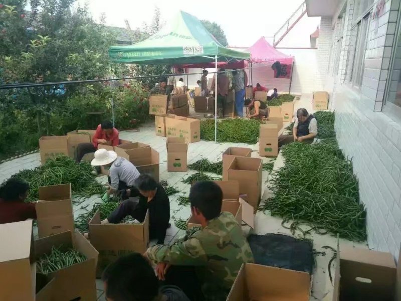 线椒.精品货源.产地价格.本地价格.线辣椒.