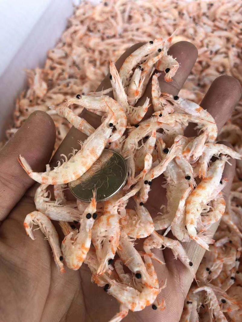 南极磷虾干磷虾米磷虾仁厂家货源磷虾仁磷虾皮