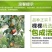梨树苗产地直销量大从优质量保证保成活率