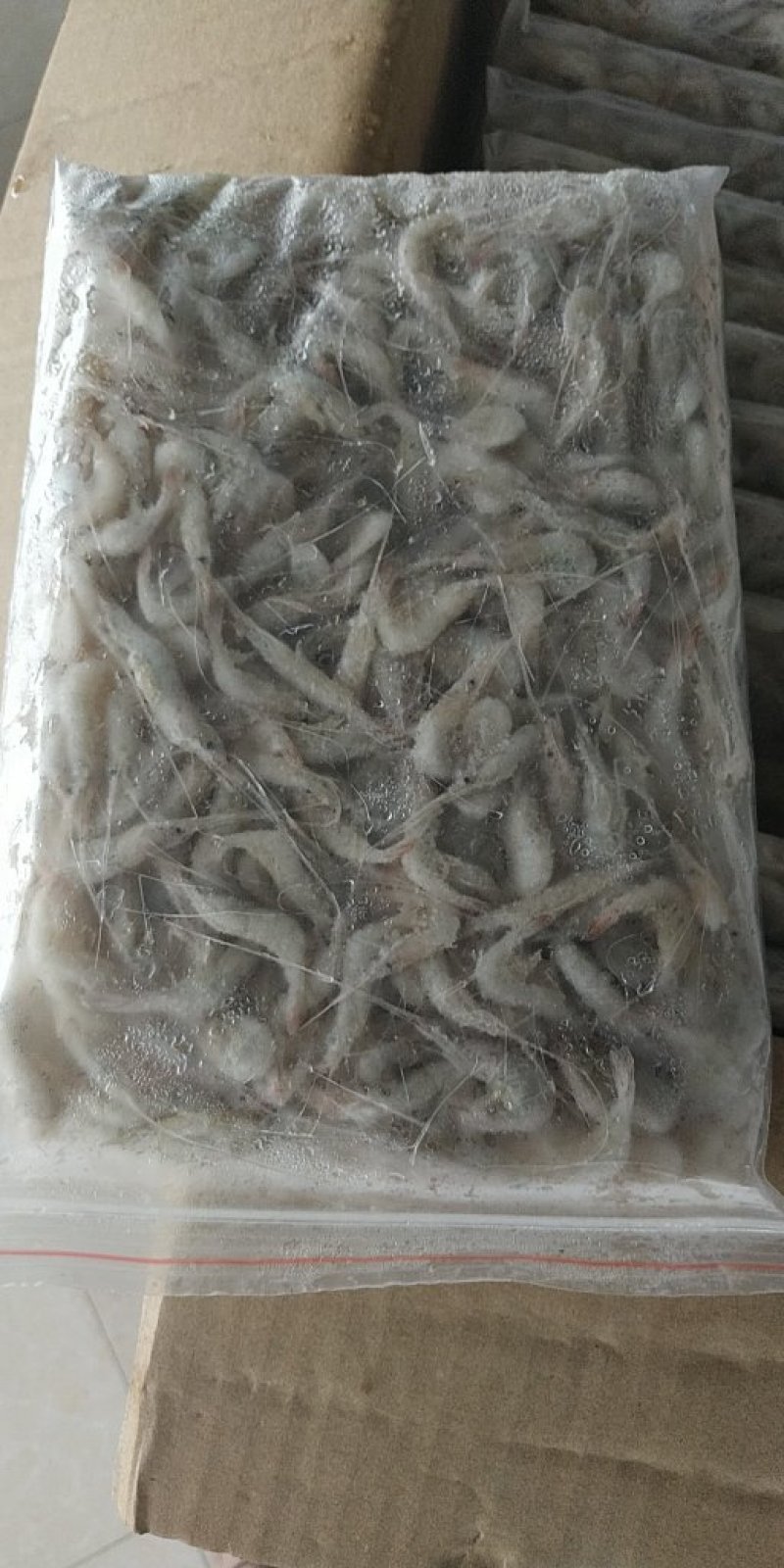 小河虾