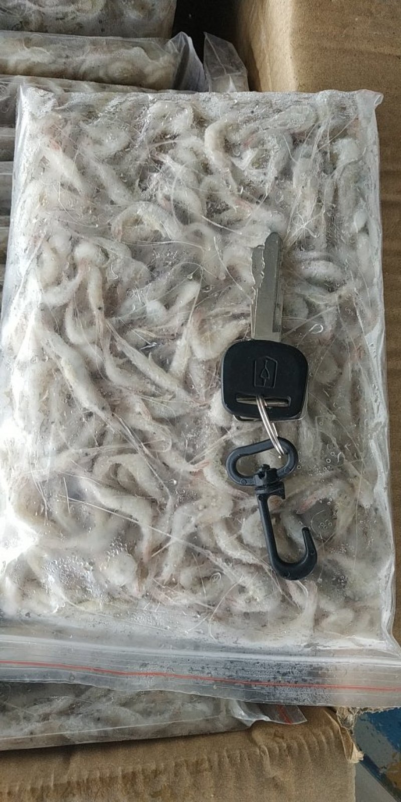 小河虾