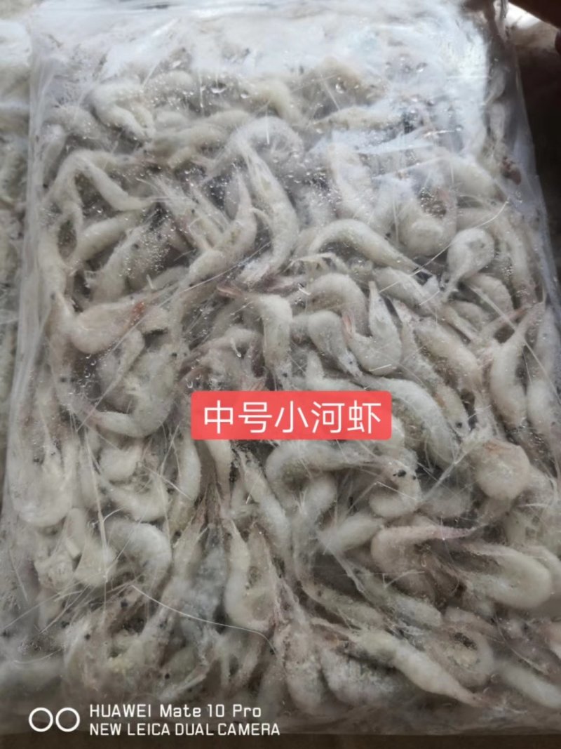 小河虾