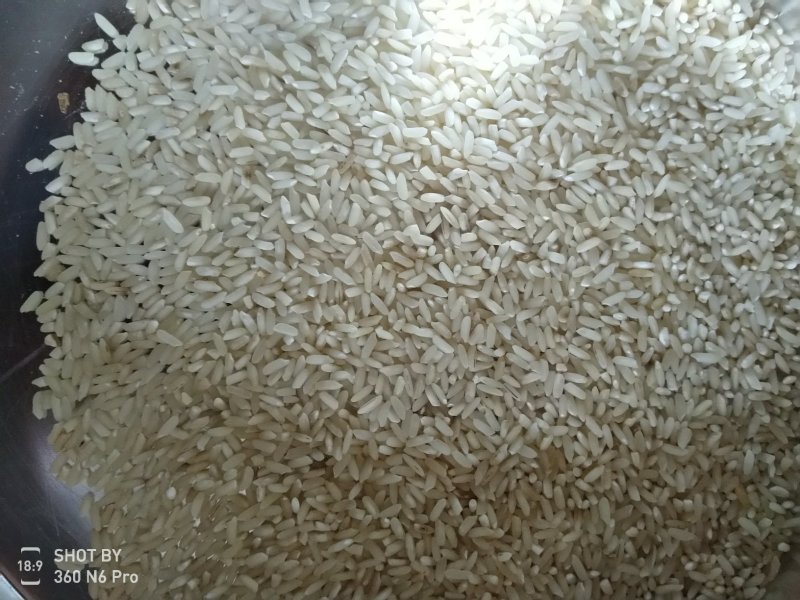 16年丰良优包装稻谷，饲料价出