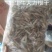 野生牛大力，牛大力干泡酒