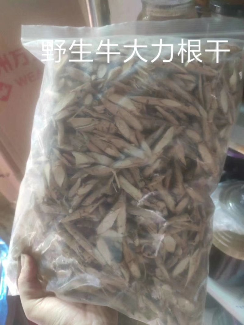 野生牛大力，牛大力干泡酒