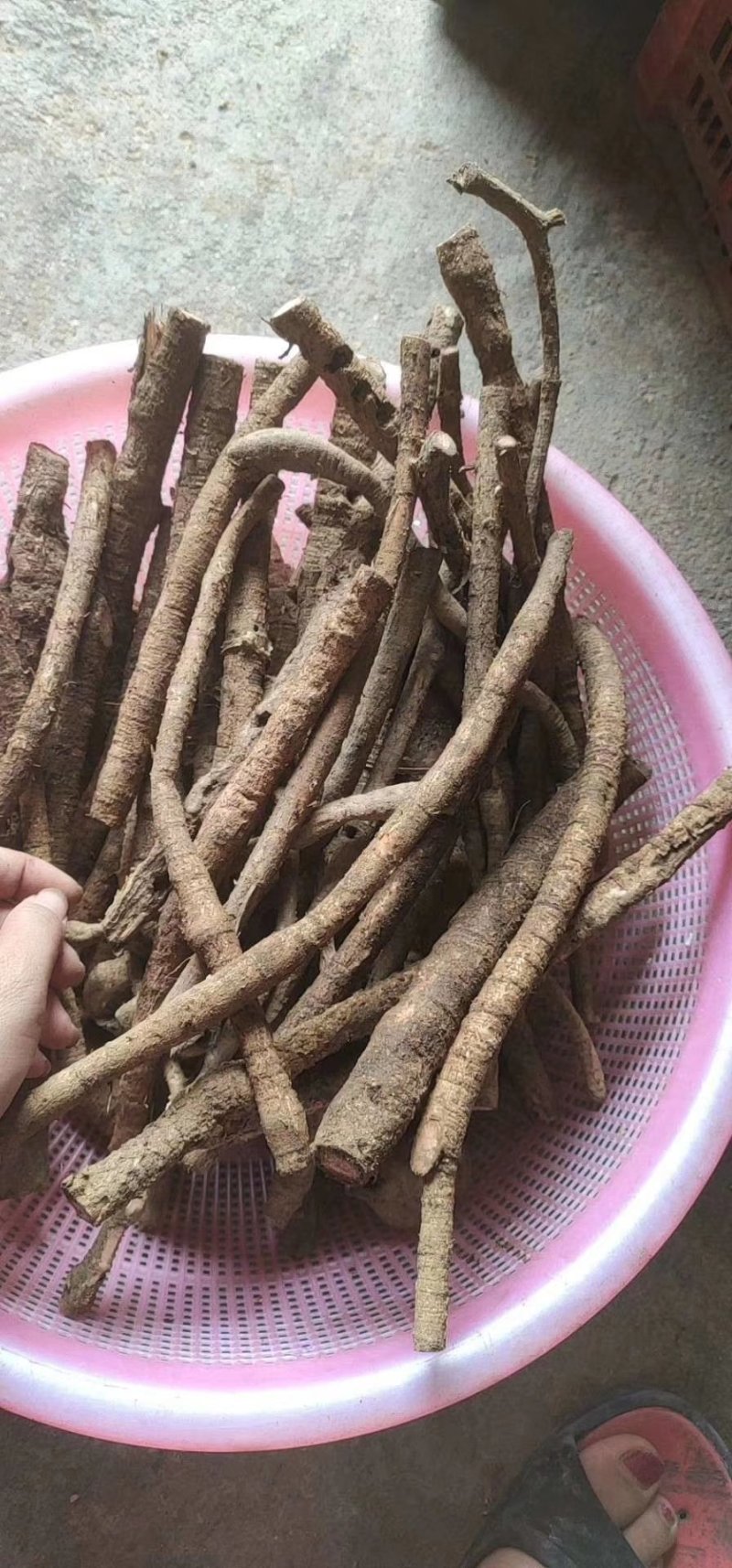 野生牛大力，牛大力干泡酒