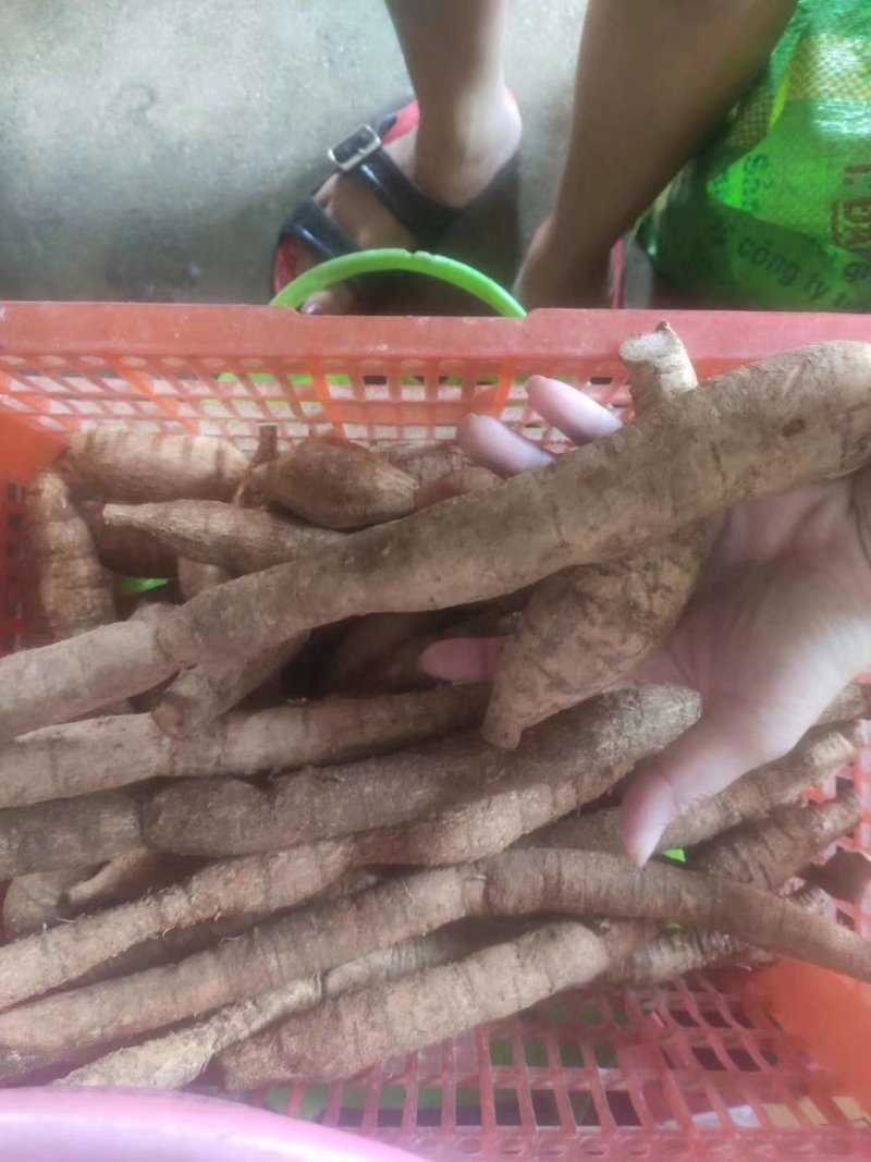 野生牛大力，牛大力干泡酒