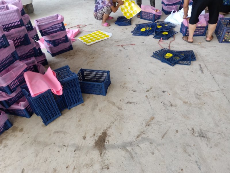 苹果123苹果大量代收有场地