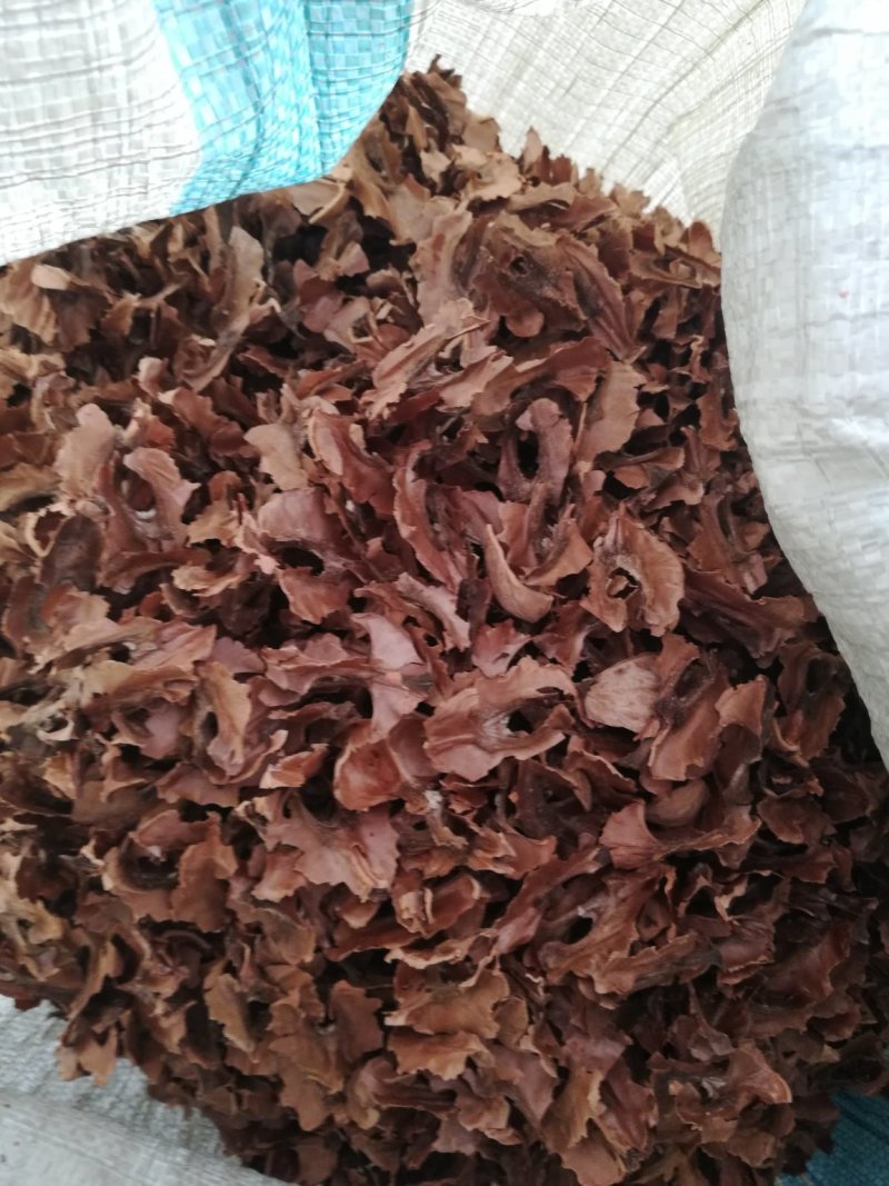 核桃夹心木人工砸仁手工取木万亩核桃种植加工基地直供