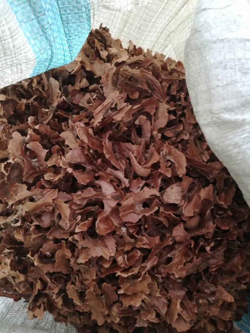 核桃夹心木人工砸仁手工取木万亩核桃种植加工基地直供