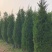 蜀侩