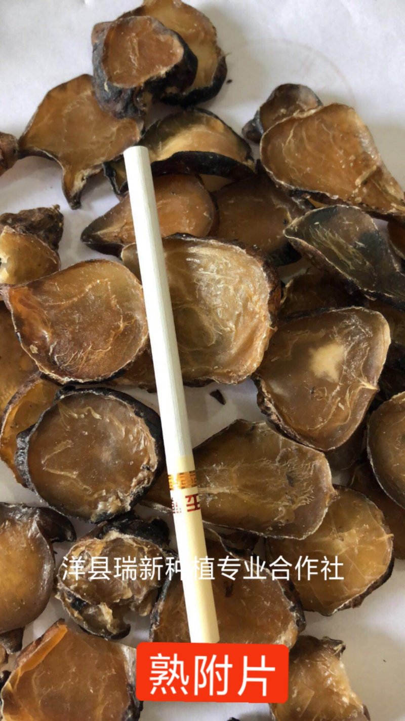 乌药片（常年供货，欢迎来做客）