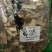 白芨白鸡白及白芨片农家初选农副产品1111