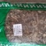 白芨白鸡白及白芨片农家初选农副产品1111