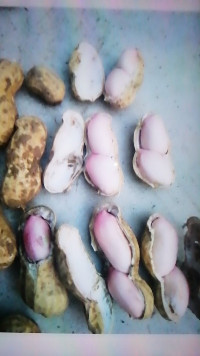 鲁花系列