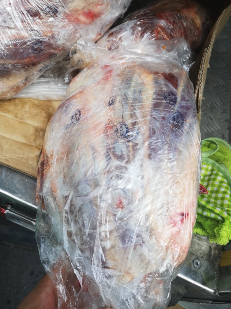 新西兰136厂牛键子