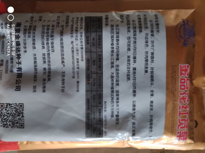 红苋菜种子金品花红苋菜种子