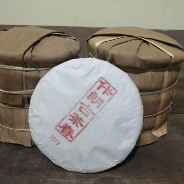 云南西双版纳百年古树茶生茶