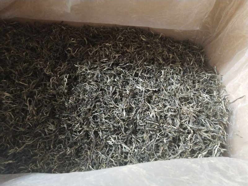 云南西双版纳百年古树茶生茶