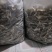 云南野生菌美味牛肝菌干片