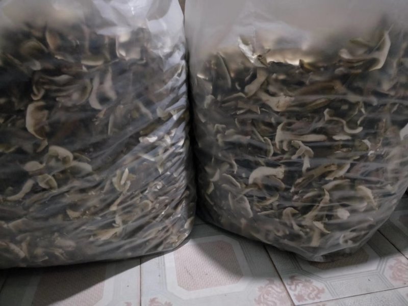 云南野生菌美味牛肝菌干片