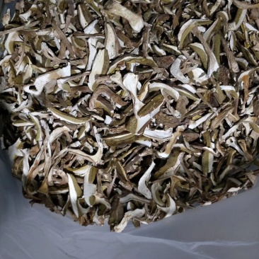 云南野生菌美味牛肝菌干片