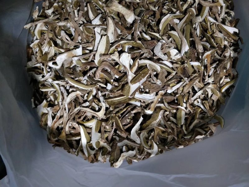 云南野生菌美味牛肝菌干片
