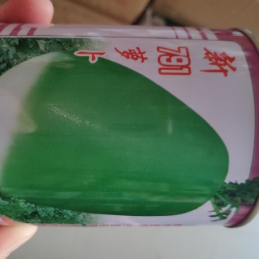 萝卜种子新791萝卜种子