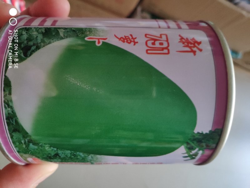 萝卜种子新791萝卜种子