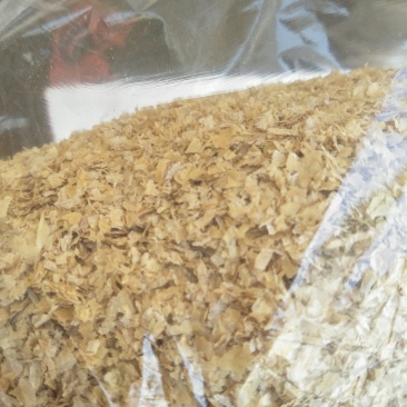 小麦麸皮，大片，中大片，细麸皮，标粉，次粉