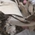 毛冬青根片广东1公斤起批无硫无添加不包邮