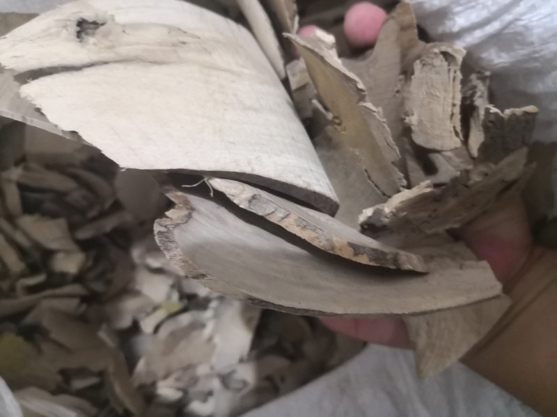 毛冬青根片广东1公斤起批无硫无添加不包邮