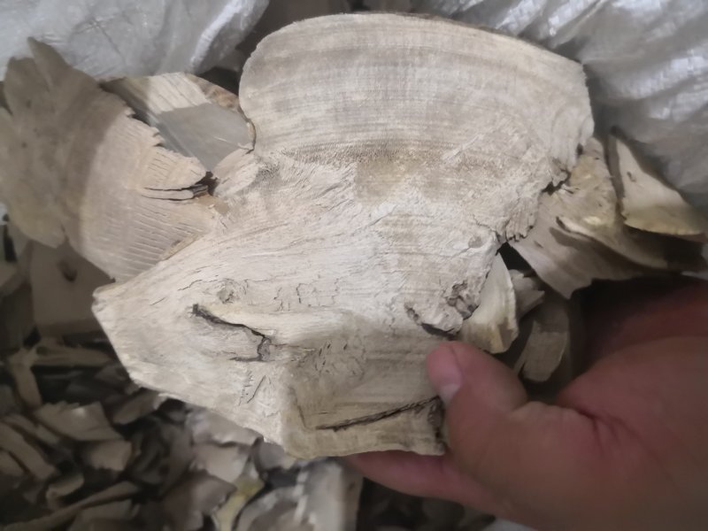 毛冬青根片广东1公斤起批无硫无添加不包邮