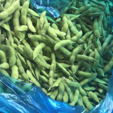 毛豆
